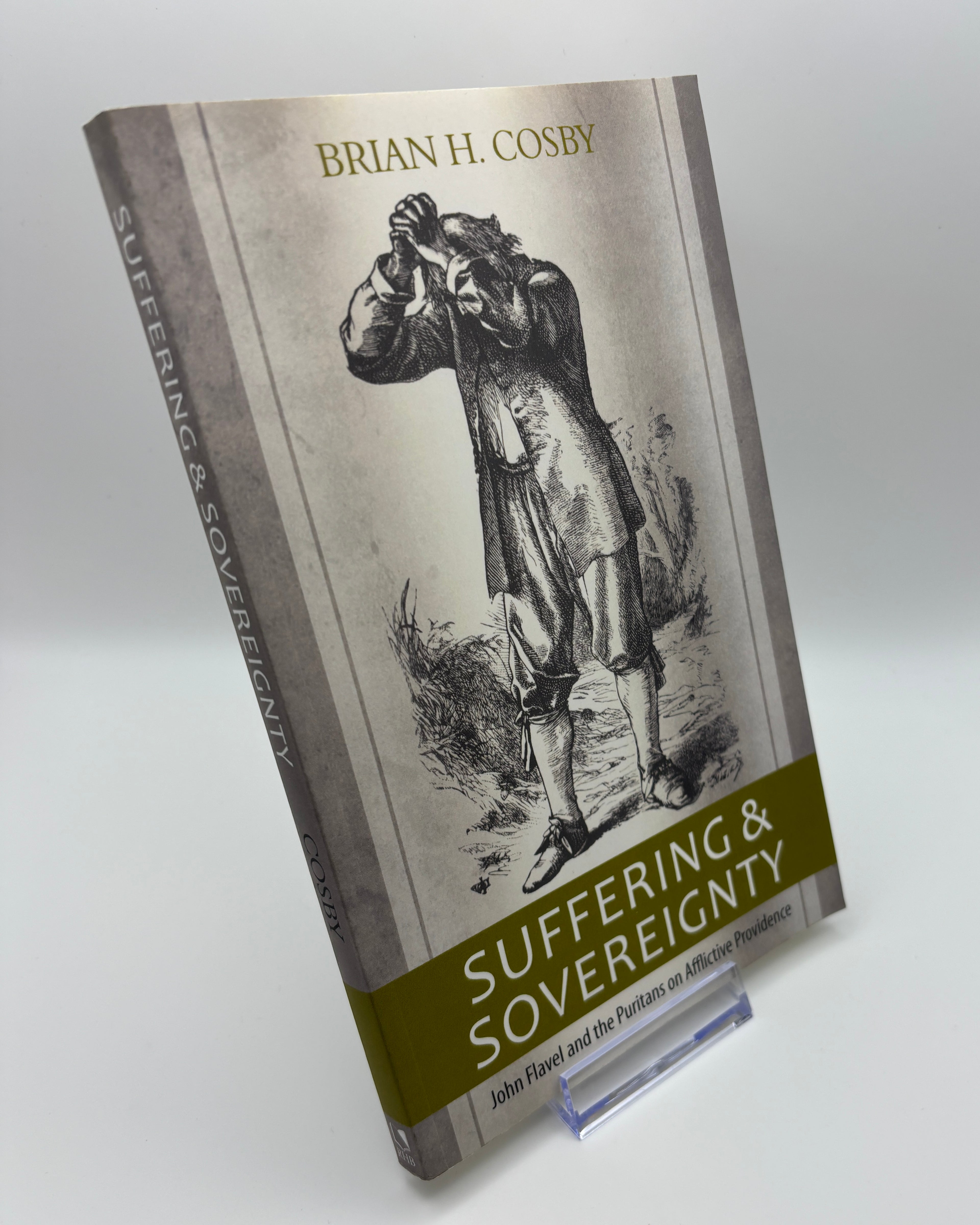 Suffering and Sovereignty - Brian Cosby (Like New)