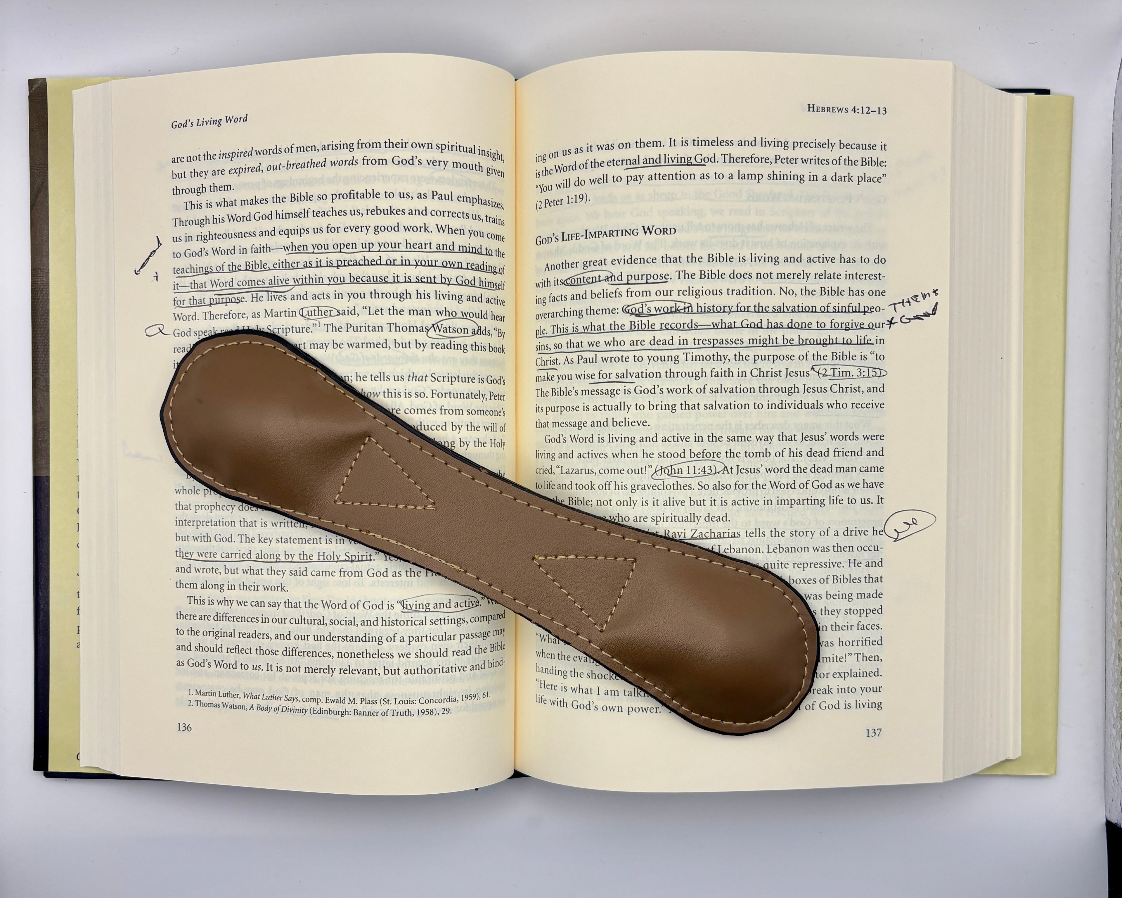 Hebrews (Reformed Expository Commentary) by Richard D. Phillips (Good)